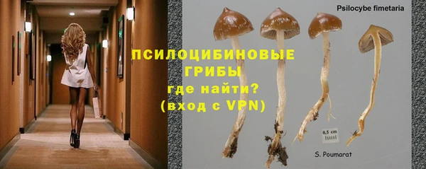 гашик Михайловка