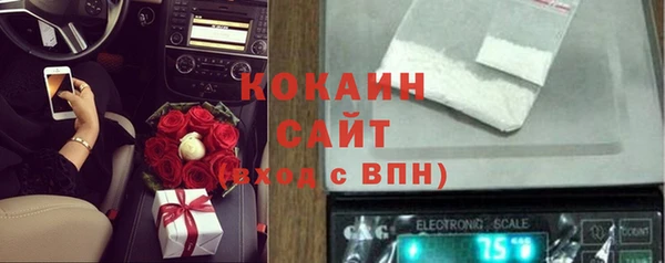 гашик Михайловка