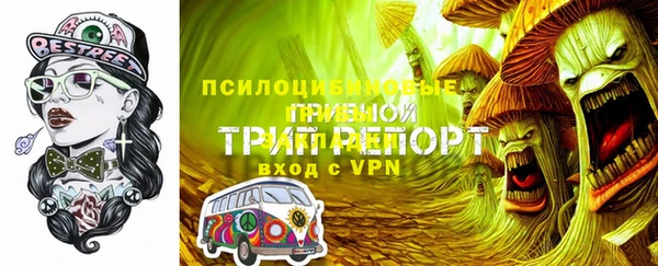 гашик Михайловка