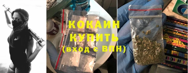 гашик Михайловка