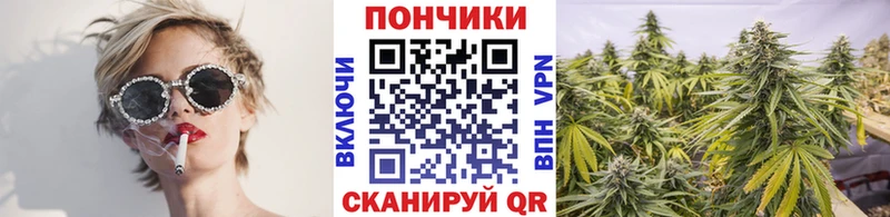 Купить где  Анапа  Канабис SATIVA & INDICA 